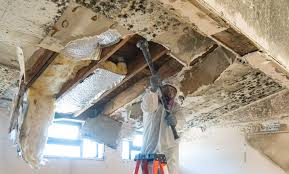 Asbestos and Lead Testing During Mold Inspection in Scott City, KS